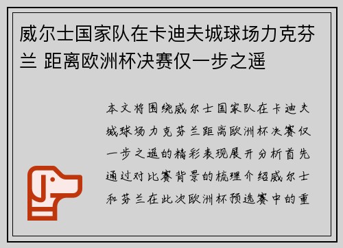 威尔士国家队在卡迪夫城球场力克芬兰 距离欧洲杯决赛仅一步之遥