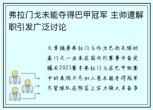 弗拉门戈未能夺得巴甲冠军 主帅遭解职引发广泛讨论